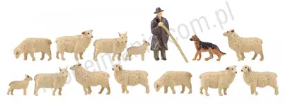 Farma owiec