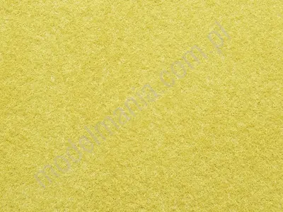 Żółto-złota dzika trawa / 50 g