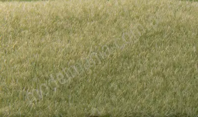 Posypka statyczna trawa jasnozielona 2 mm