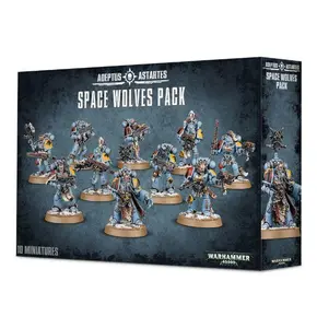 Space Wolves Grey Hunters (53-06)