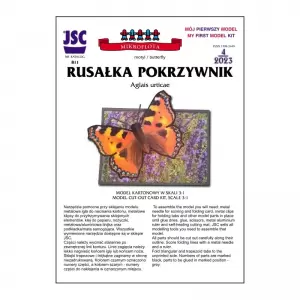 Motyl Rusałka pokrzywnik. Model dla początkujących