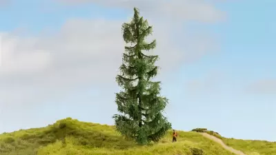Świerk, seria drzewa modelowe