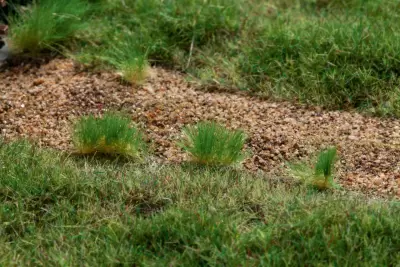 Kepki trawy wiosenne 2-6 mm