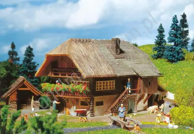 Dom w Schwarzwaldzie