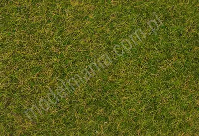 Posypka statyczna - dzika trawa - wczesnoletnia łąka ​​4mm / 1kg