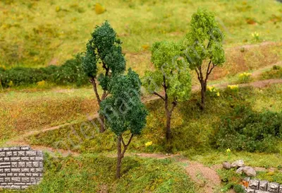 Drzewa liściaste 60-70 mm / 4 szt.