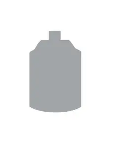 Grey Seer Spray (400ml) (62-34)