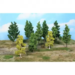 Drzewa liściaste 11-14 cm / 27 szt.