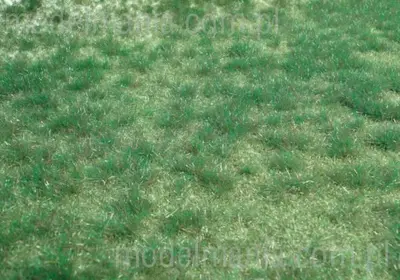 Segment krajobrazu - trawa ciemnozielona 45x17cm