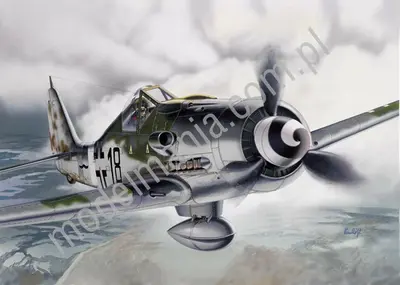 Focke-Wulf Fw 190D-9