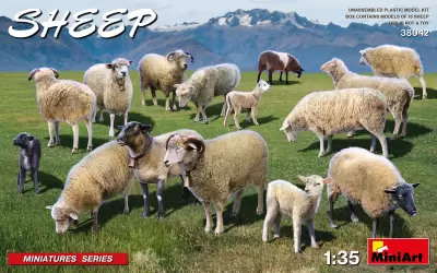Owce (kierdel)