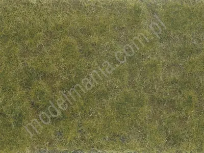 Segment krajobrazu - łąka zielona / brązowa