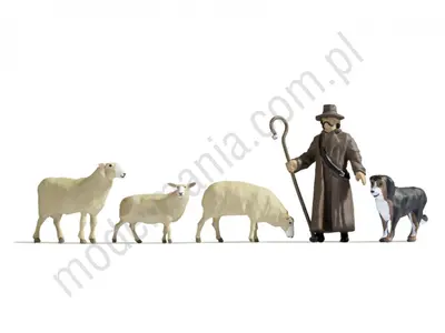 Owce i pasterz