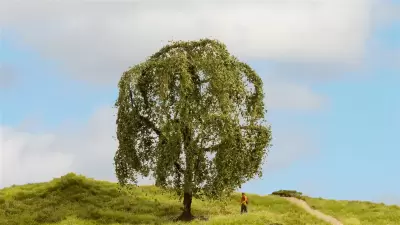 Wierzba płacząca, seria drzewa modelowe
