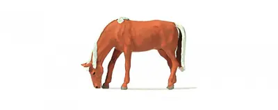 Koń skubiący trawę