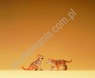 2 tygrysiątka