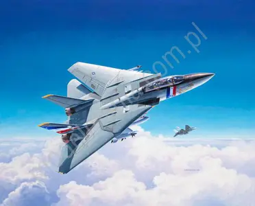 Myśliwiec pokładowy Grumman F-14D Super Tomcat