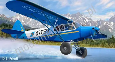 Piper PA-18 z kołami Bush