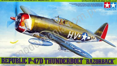 Amerykański samolot myśliwski P-47D Thunderbolt "Razorback"