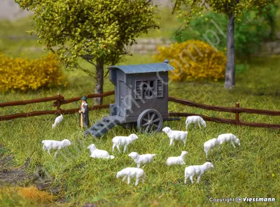 Wóz pasterski ze stadem owiec