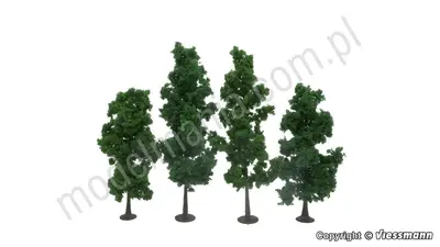 Drzewo liściaste 10-14 cm, 4 sztuki