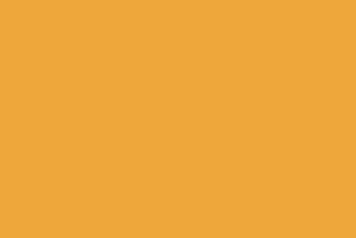 Molak 6-Żółty Połysk 169G (18ml)