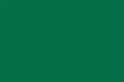 Molak FSC-34 Zielony 1120M, Reseda Zielony (18 ml)