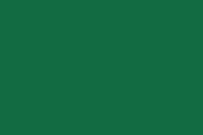 Farba akrylowa nitro RAL 6002 Zielony liść 25 ml