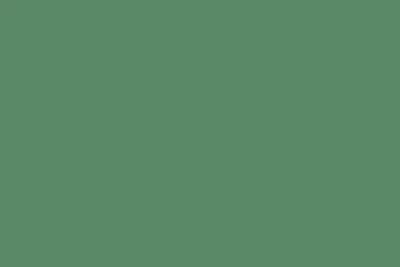 Farba akrylowa nitro RAL 6011 Reseda zielona 25 ml