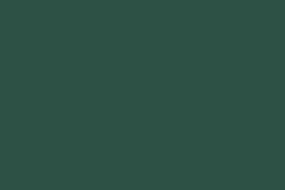Farba akrylowa nitro RAL 6020 Chrom tlenek zielony 25 ml