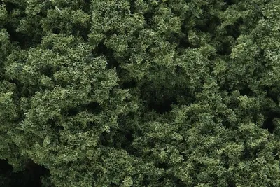Listowie w kępach, średnia zieleń (Foliage Clusters) / 832dm²